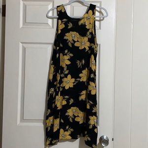 Barely Worn Ava Sky Sleeveless Dress